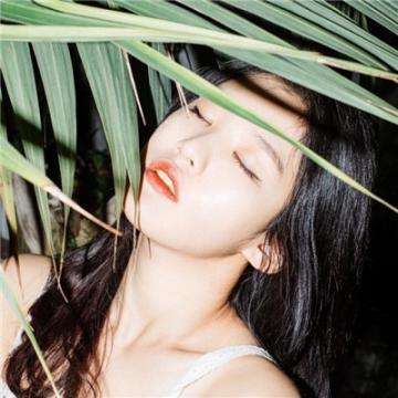 半岛综合app官网登录截图